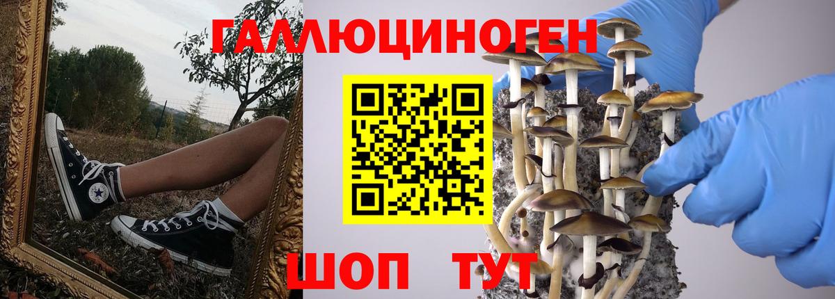 Псилоцибиновые грибы MAGIC MUSHROOMS Надым